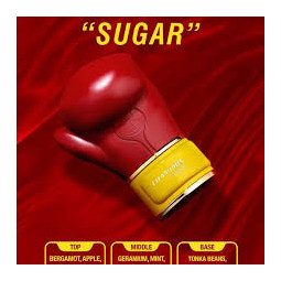 Champion Sugar de Fragrance World | Perfume Árabe Dulce – perfumes-arabia.com