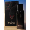 Vulcan | Perfume Árabe Masculino Intenso y Seductor,Perfumes Arabia