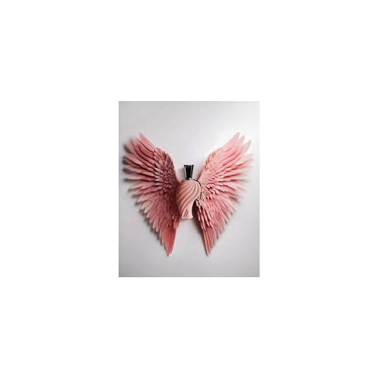 Freedom Wings | Perfume Árabe Oriental de Lujo