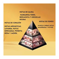 Sceptre Malachite Maison Alhambra 100ml | Perfume Árabe Unisex