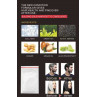 Kiss Beauty skin clinic…Unisex..420ml…-Perfumes-Arabia.com